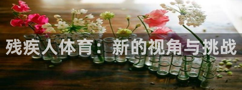 J9官网下载平台是正规平台吗知乎：残疾人体育：新的视角与挑战