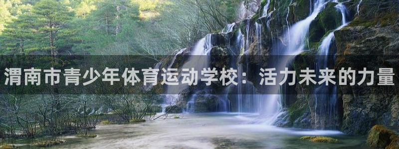 J9官网下载是干嘛的公司：渭南市青少年体育运动学校：