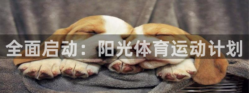 J9官网下载招商电话号码：全面启动：阳光体育运动计划