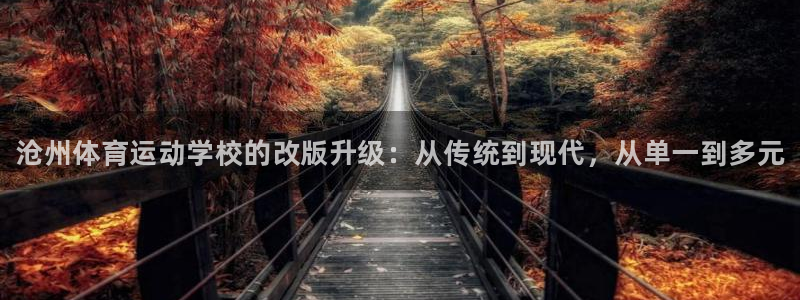 J9官方平台体育：沧州体育运动学校的改版升级：从传统