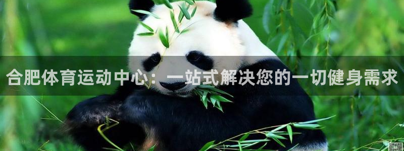 J9官方正版app娱乐下载：合肥体育运动中心：一站式